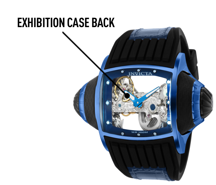 Exhibition Case Back