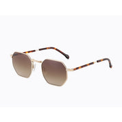 Invicta Berlin Eyewear X CL - Bod Gold + Free Luxury Premium Case (CL3523-02)