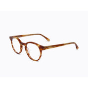 Invicta Berlin Eyewear X CL - Gravity, Orange Demi + Free Luxury Premium Case(CL4186-02)