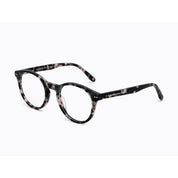 Invicta Berlin Eyewear X CL - Nicks, Matt Demi Black-Trans Grey + Free Luxury Premium Case(CL4230-03)