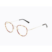 Invicta Berlin Eyewear X CL - Cast, Demi/Gold + Free Luxury Premium Case(CL4249-02)