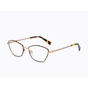Invicta Berlin Eyewear X CL - Famous, Demi-Gold + Free Luxury Premium Case(CL4281-03)