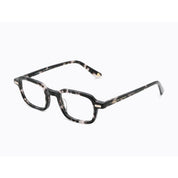 Invicta Berlin Eyewear X CL - Banks, Demi Black-Trans Grey + Free Luxury Premium Case(CL4306-02)