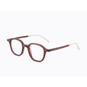 Invicta Berlin Eyewear X CL - Hindi, Trans Dark Burgundy + Free Luxury Premium Case(CL4321-04)