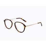 Invicta Berlin Eyewear X CL - Brady, Demi-Shiny Light Gold + Free Luxury Premium Case(CL4367-02)