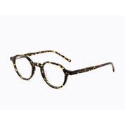 Invicta Berlin Eyewear X CL - Plexi, Demi 1YWP4B002 + Free Luxury Premium Case(CL4472-02)