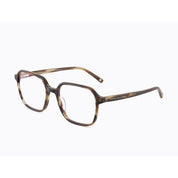Invicta Berlin Eyewear X CL - Reality, Brown Yellow Stripes Demi + Free Luxury Premium Case(CL4527-02)