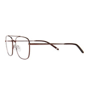 Invicta Berlin Eyewear X CL - James, Dark Coffee + Free Luxury Premium Case(CL5922-03)